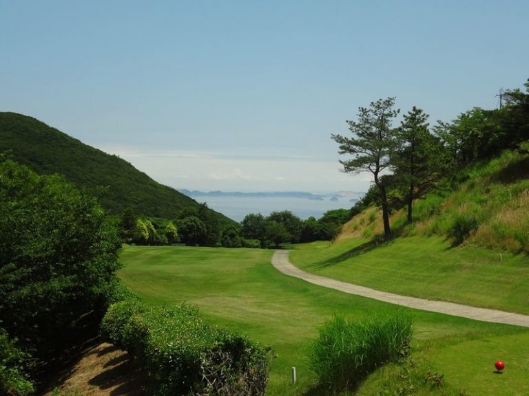 Il punteggio del golfista