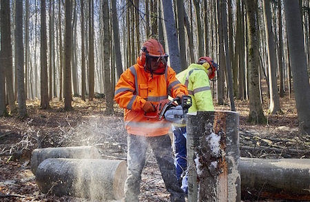 Contratto prestazione occasionale, come funziona