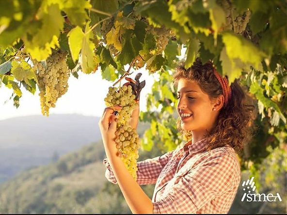8 MARZO: IN SICILIA, PUGLIA E CAMPANIA PIÙ IMPRESE ROSA IN AGRICOLTURA
