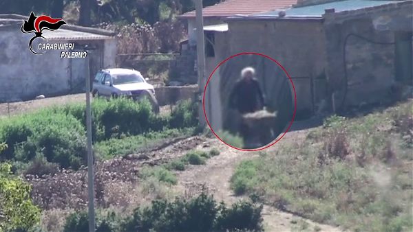 ALLEVATORE E FALSO INVALIDO, INDAGATO UN SESSANTENNE PALERMITANO