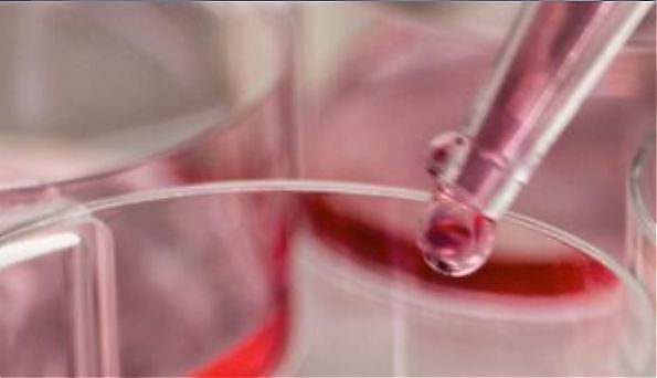 AL POLITECNICO DI MILANO 15 RICERCATORI DI LIVELLO INTERNAZIONALE