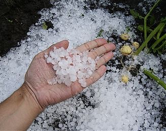MALTEMPO: COLDIRETTI “MILIONI DI DANNI”