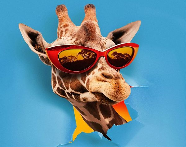 TAKAGI&KETRA CON FERRERI, NUOVO TORMENTONE ESTIVO “JAMBO”