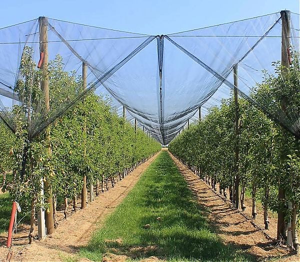 CRESCE IL MERCATO ASSICURATIVO AGRICOLO IN ITALIA