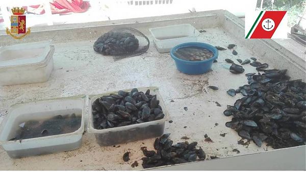 TARANTO, SEQUESTRATI DUE QUINTALI DI COZZE