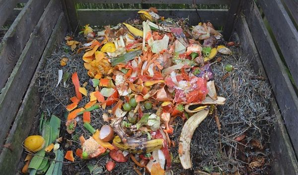 IN SICILIA SI SPRECANO 360 MILA TONNELLATE DI CIBO ALL’ANNO