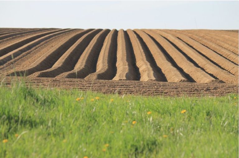 NASCE IL PRIMO HUB TECNOLOGICO PER L’AGRICOLTURA ITALIANA