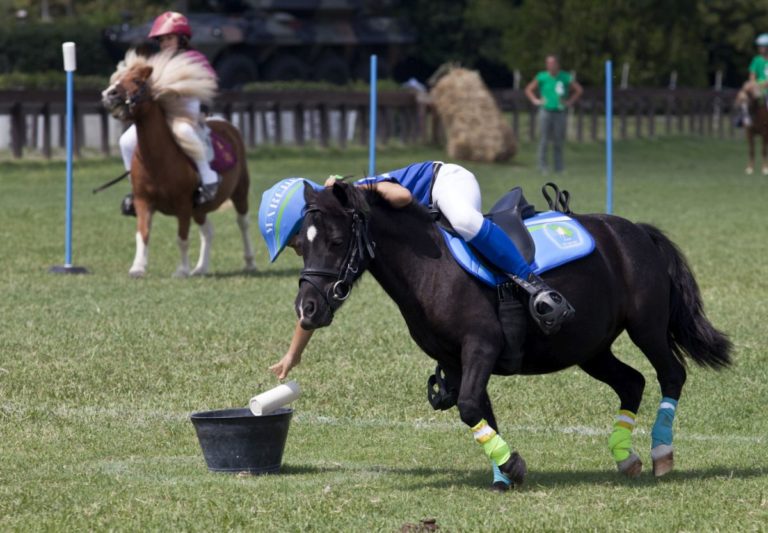 EQUITAZIONE: DAL 28 AL 31 AGOSTO A ROMA LA 14^ EDIZIONE DELLE PONYADI