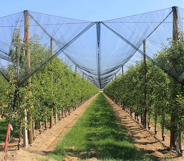 FINANZIATE 3 NUOVE ORGANIZZAZIONI PRODUTTORI CON 1,2 MLN