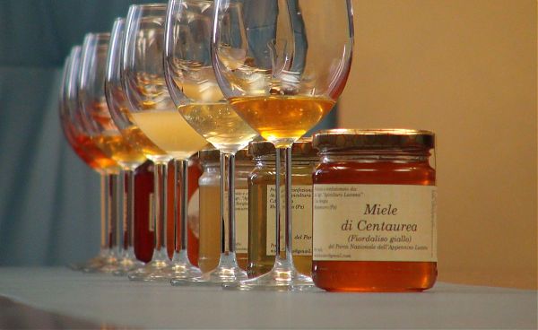 A POLICORO 35° CONGRESSO APICOLTURA PROFESSIONALE