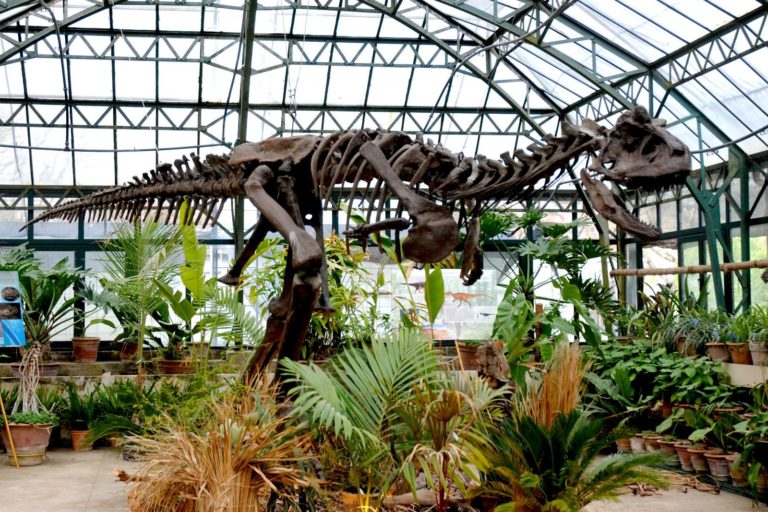 “ARRIVANO I DINOSAURI” ALL’ORTO BOTANICO