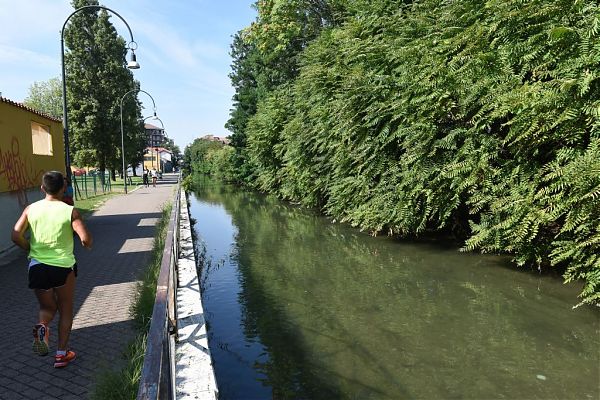 Imagoeconomica_12867621