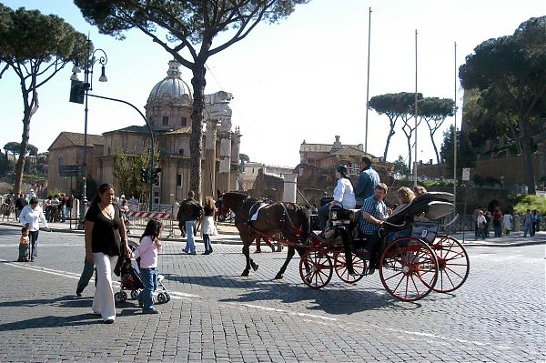 STOP A “BOTTICELLE” IN GIORNATE DI GRANDE CALDO