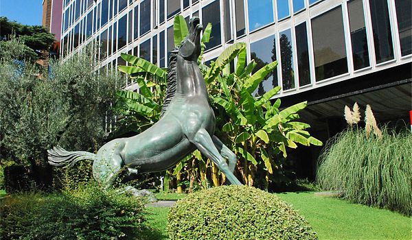 SALINI: “ISTITUZIONI ADOTTINO RADIO DIGITALE”