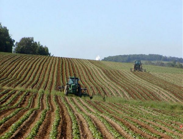 AGRICOLTURA BIOLOGICA, BRAIA “RISULTATO FONDAMENTALE”