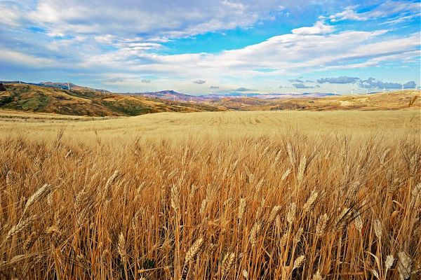 PIEMONTE: PIU’ FONDI UE PER L’AMBIENTE