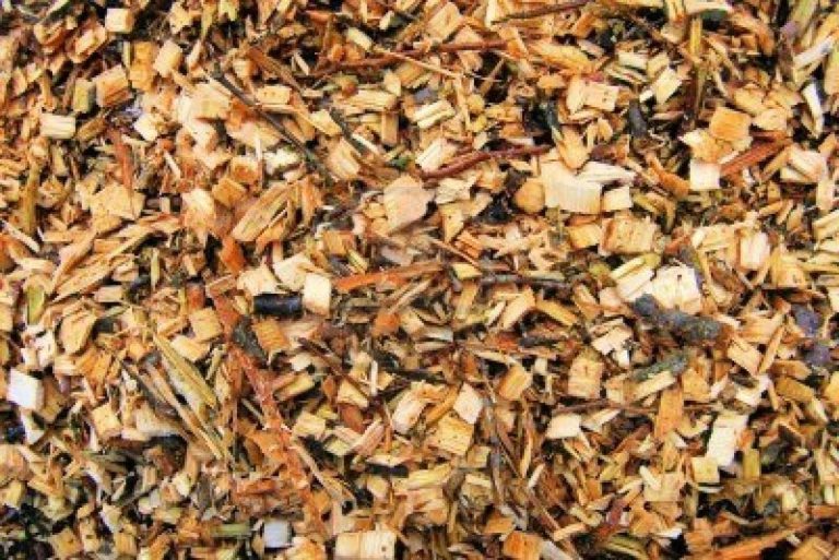 IMPIANTI BIOMASSE, DIFFERITI TERMINI MANIFESTAZIONI INTERESSE