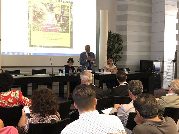 BRAIA “TESTO UNICO FORESTE, FILIERE E RIFORMA IN ATTO”