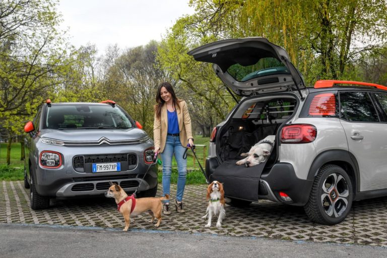 CITROËN “PET À PORTER” PER I PASSEGGERI A 4 ZAMPE