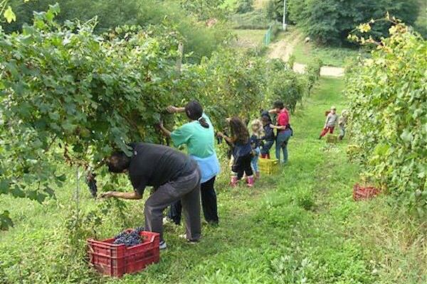 CAPORALATO, SIMONETTI “INCHIESTE MOSTRANO DUREZZA CONDIZIONI LAVORO”