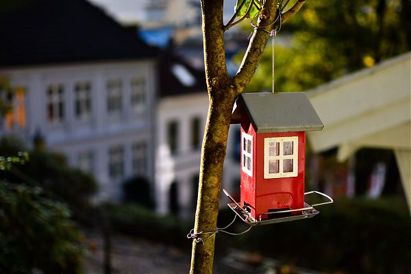 3 FAMIGLIE SU 4 VIVONO IN UNA CASA DI PROPRIETÀ