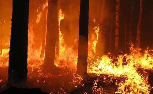 E.ROMAGNA: INCENDI BOSCHIVI, ATTIVA FASE ATTENZIONE