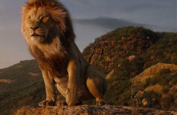 IN 25 ANNI POPOLAZIONE LEONI AFRICANI DIMINUITA DEL 43%