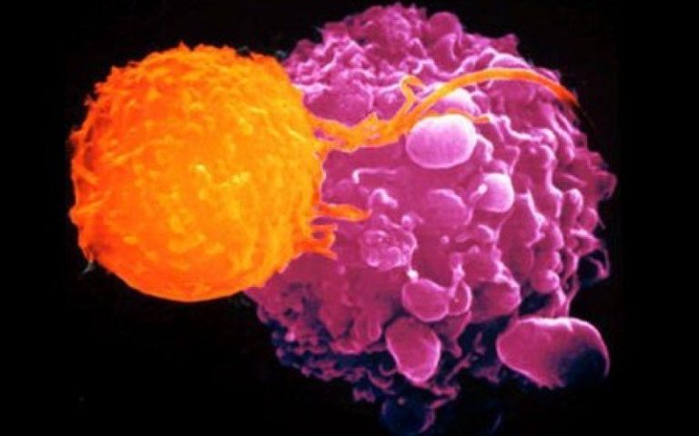 TUMORI, POSSIBILE PREVENZIONE PRECOCE GRAZIE A DNA