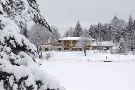 GELO E NEVE, BRAIA “DIPARTIMENTO AGRICOLTURA IN ALLERTA”