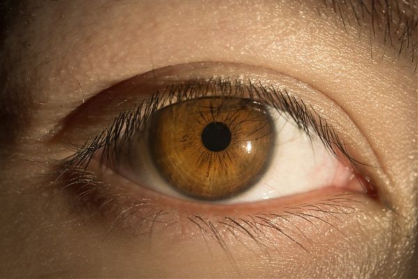 LA MELATONINA PROTEGGE LA RETINA