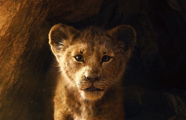 IL RE LEONE, ELISA SARA’ LA VOCE DI NALA