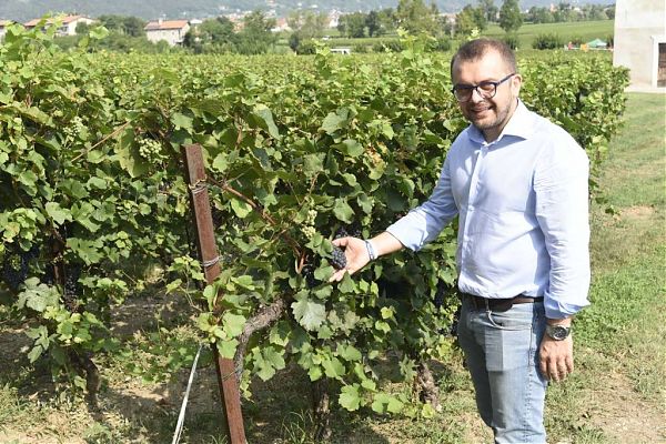 AGROALIMENTARE, 30 MLN A SEI PROGETTI DI FILIERA