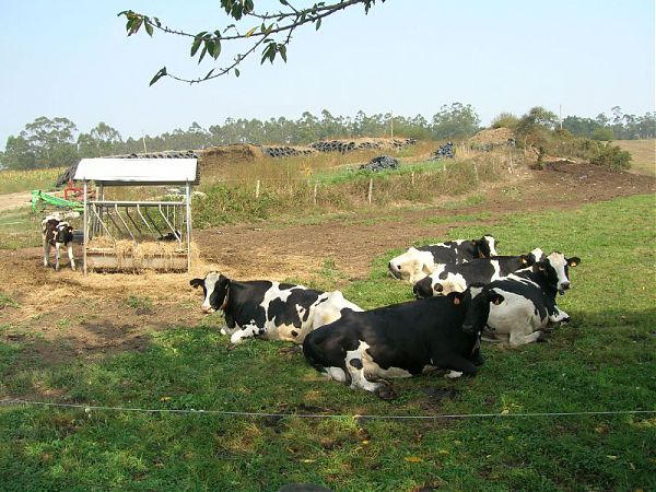 AFFIDATO ALL’ARA PROGRAMMA PREVENZIONE IN ZOOTECNICA