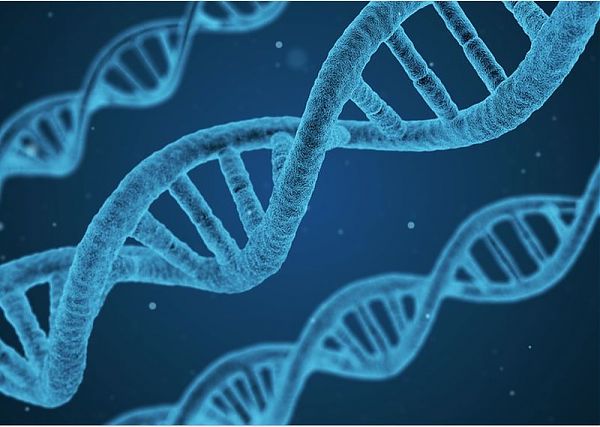 ESSELUNGA E FONDAZIONE TELETHON ALLEATI CONTRO LE MALATTIE GENETICHE
