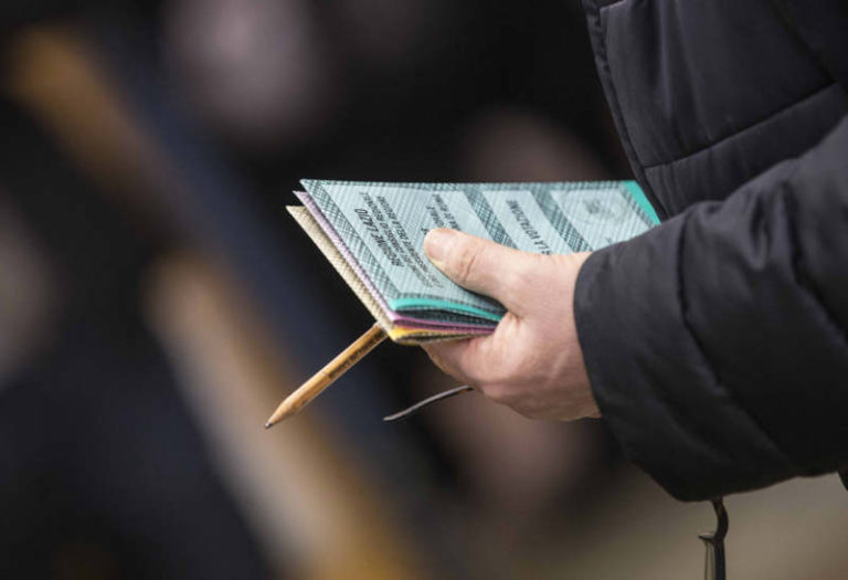 IL 50% DEGLI ITALIANI VUOLE IL VOTO