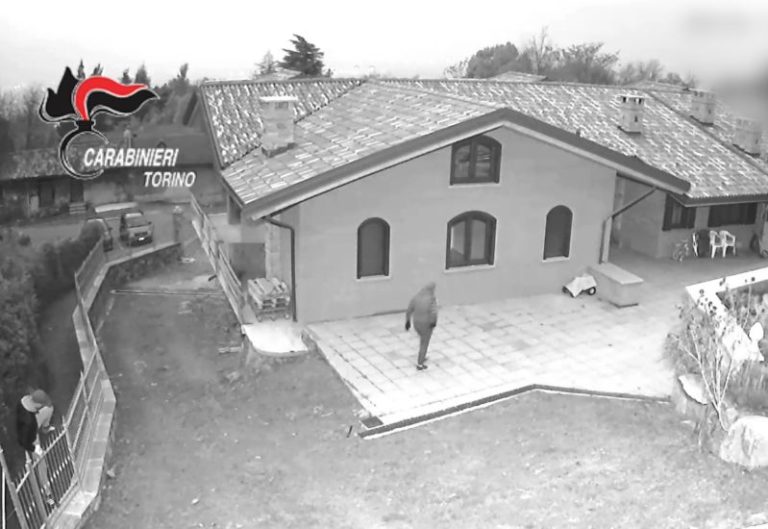 RAPINE IN VILLA, SGOMINATA BANDA ITALO-ALBANESE