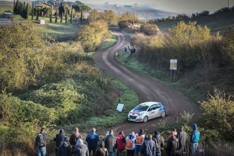 PEUGEOT VINCE IL TRICOLORE COSTRUTTORI DUE RUOTE MOTRICI