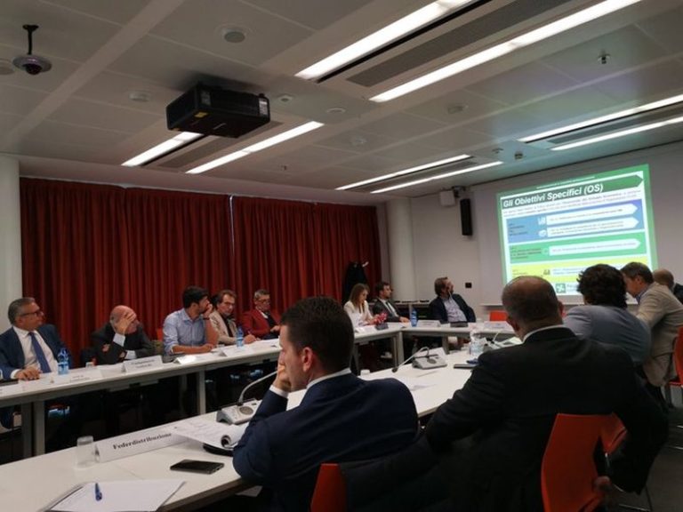 PRIMA CONFERENZA DELLA COOPERAZIONE