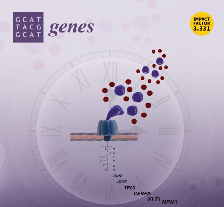 LEUCEMIA ACUTA MIELOIDE, NUOVO PROTOCOLLO PER IDENTIFICARE GENI ALTERATI