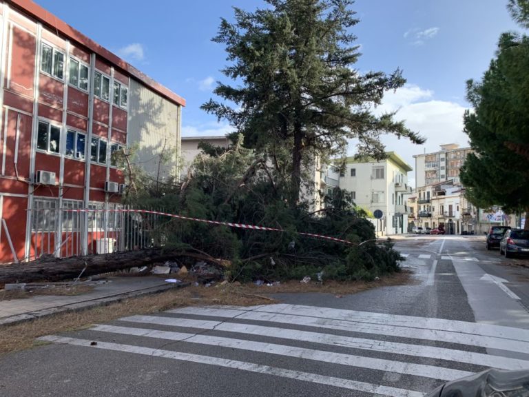 PALERMO, DANNI E DISAGI PER IL FORTE VENTO