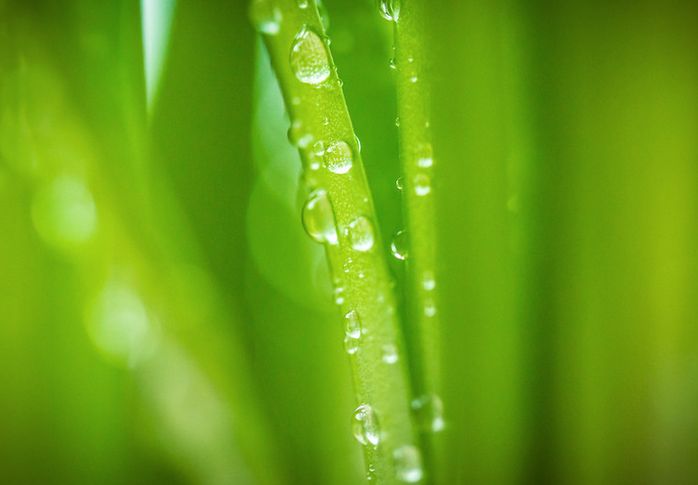 INTESA SP: GIOVANI, CULTURA E AMBIENTE BASE SOSTENIBILITÀ