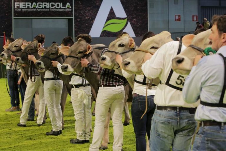 BELLANOVA A FIERAGRICOLA “IN DIRITTURA D’ARRIVO IL COLLEGATO”