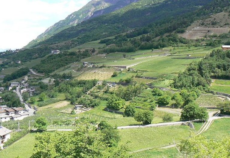 Vda, bando manifestazioni di interesse agricolo scade il 28