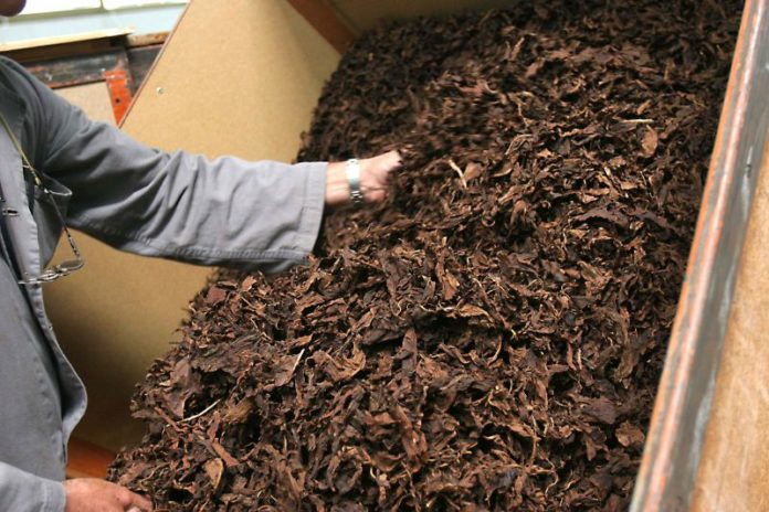 BRITISH AMERICAN TOBACCO ITALIA