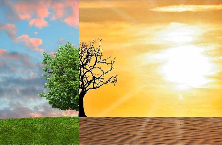 Earth Day, da P&G “Storie di Cittadinanza d’Impresa 2019”