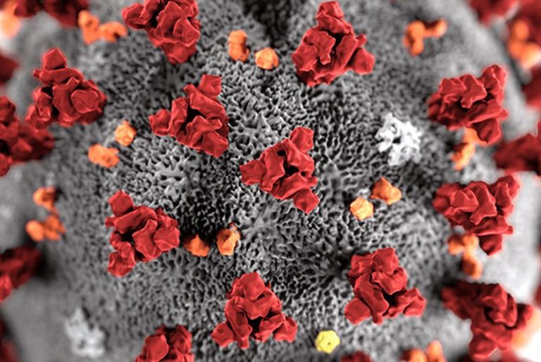 Via libera ad app su coronavirus, mancato uso non limita diritti