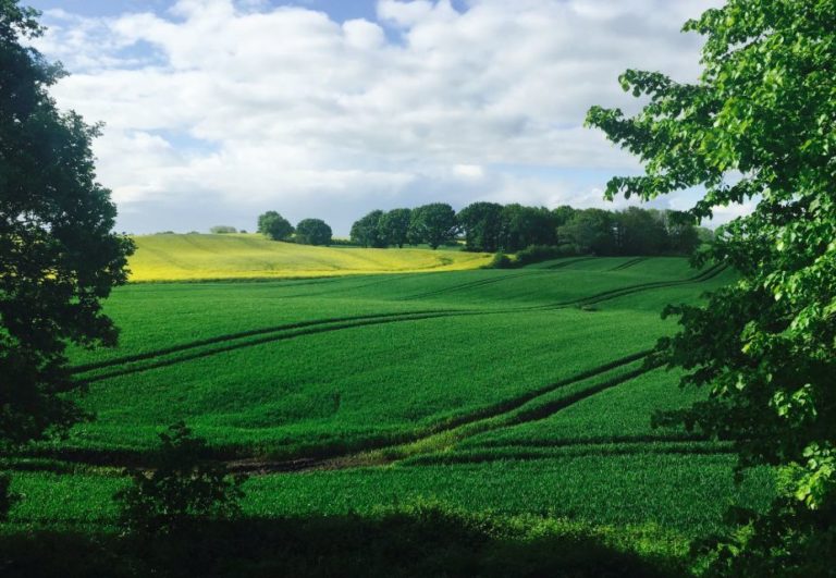 Agricoltura, prestiti agevolati per 95 milioni in Emilia Romagna