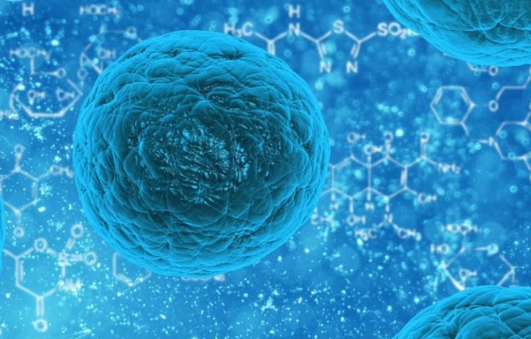 Nel Lazio 25 casi di Coronavirus, dato più basso dal lockdown