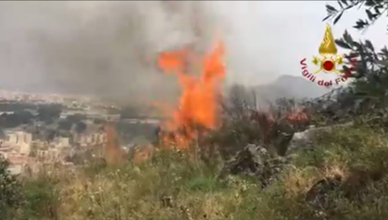 Canadair al lavoro nel Palermitano per incendi provocati dallo scirocco