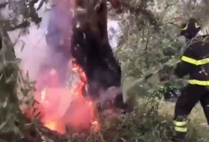 Italia divisa tra incendi e maltempo